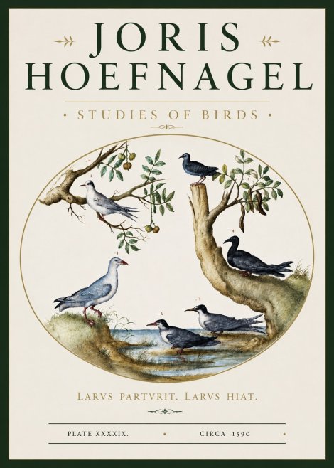 Joris Hoefnagel Studies of Birds II No3 - Juliste