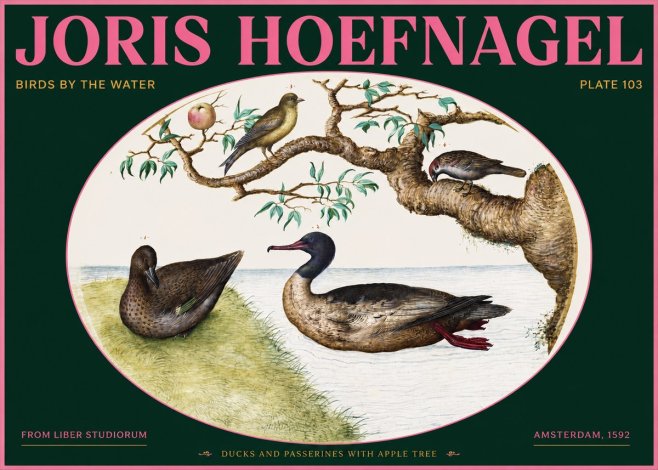 Joris Hoefnagel Ducks and Passerines with Apple Tree No2 - Juliste