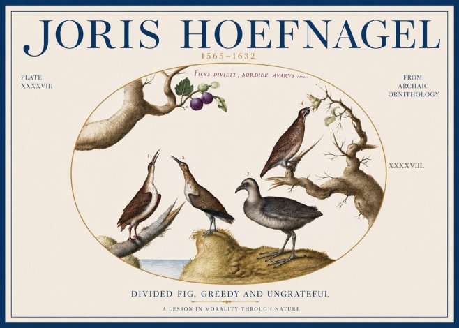 Joris Hoefnagel Birds from the Four Parts of the World No4 - Juliste