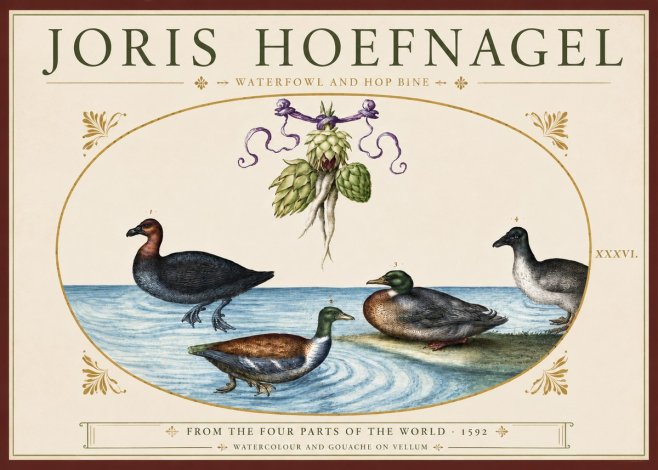 Joris Hoefnagel Waterfowl and Hop Bine No3 - Juliste