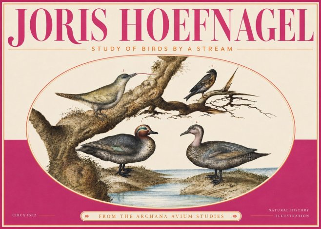 Joris Hoefnagel Study of Birds by a Stream No4 - Juliste