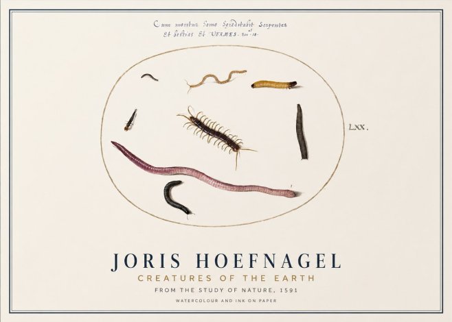 Joris Hoefnagel Creatures of the Earth II No1 - Juliste