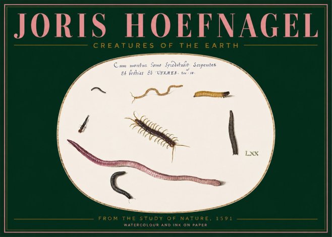 Joris Hoefnagel Creatures of the Earth II No2 - Juliste