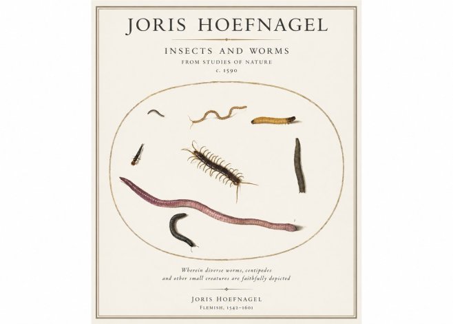 Joris Hoefnagel Creatures of the Earth II No5 - Juliste