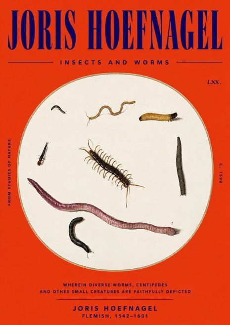 Joris Hoefnagel Creatures of the Earth II No6 - Juliste