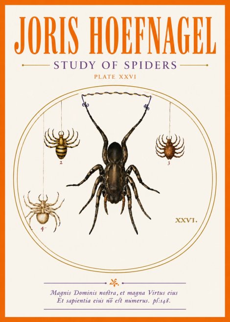 Joris Hoefnagel Study of Spiders No5 - Juliste