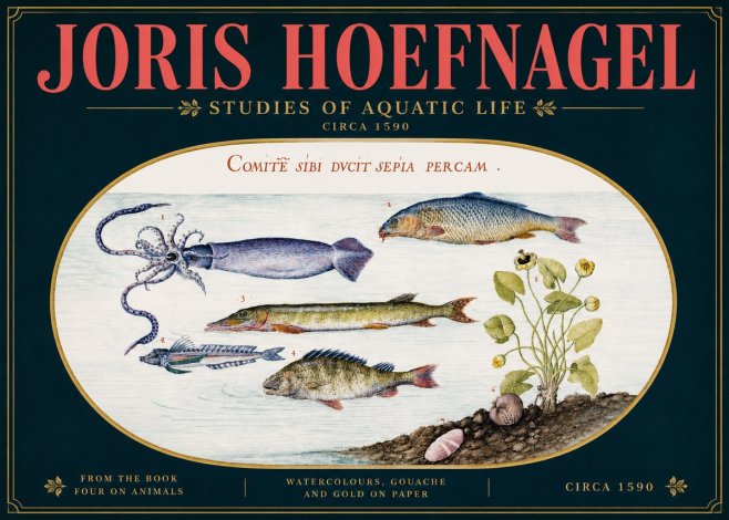 Joris Hoefnagel Comitẽ Sibi Ducit Sepia Percam. No5 - Juliste