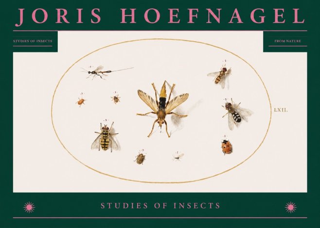 Joris Hoefnagel Studies of Insects IV No2 - Juliste
