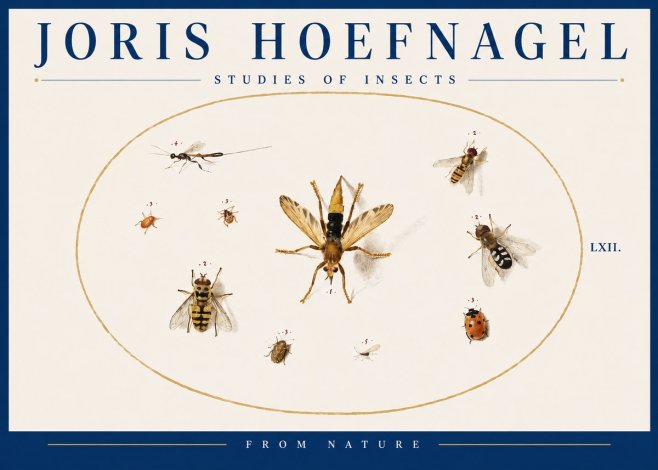 Joris Hoefnagel Studies of Insects IV No4 - Juliste