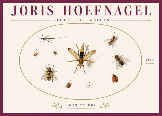Joris Hoefnagel Studies of Insects IV No6 - Juliste