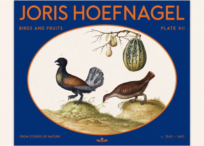 Joris Hoefnagel A Cock and Hen of the Woods with Pears and Gourd No2 - Juliste