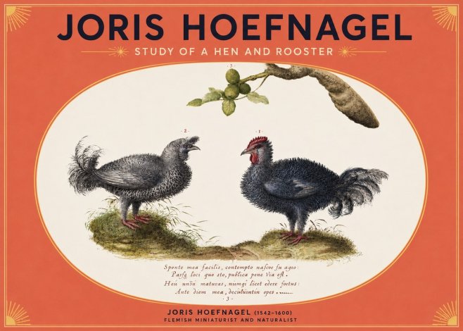 Joris Hoefnagel Study of a Hen and Rooster No3 - Juliste