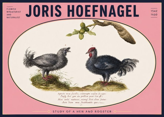 Joris Hoefnagel Study of a Hen and Rooster No5 - Juliste
