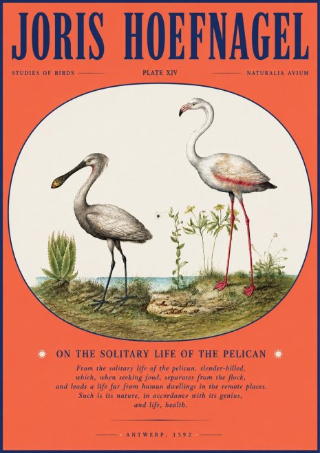 Joris Hoefnagel The Solitary Sanctuary of the Spoonbill and the Flamingo No4 - Juliste