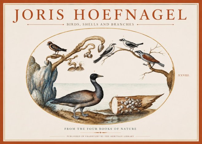 Joris Hoefnagel Birds, Shells and Branches No3 - Juliste