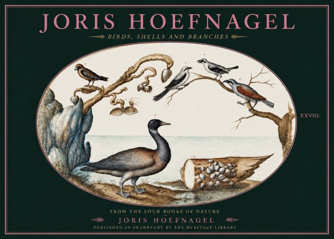 Joris Hoefnagel Birds, Shells and Branches No4 - Juliste