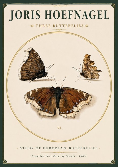 Joris Hoefnagel Three Butterflies I No3 - Juliste