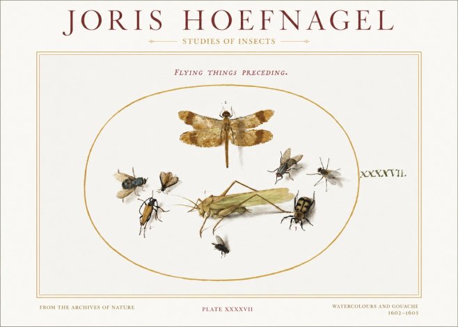 Joris Hoefnagel Flying Things Preceding. No1 - Juliste