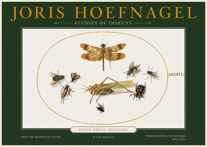 Joris Hoefnagel Flying Things Preceding. No2 - Juliste