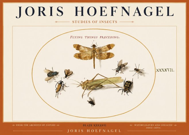 Joris Hoefnagel Flying Things Preceding. No3 - Juliste