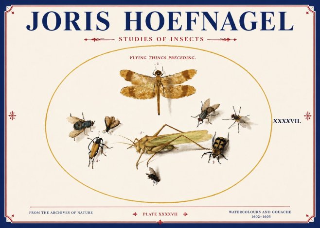 Joris Hoefnagel Flying Things Preceding. No4 - Juliste