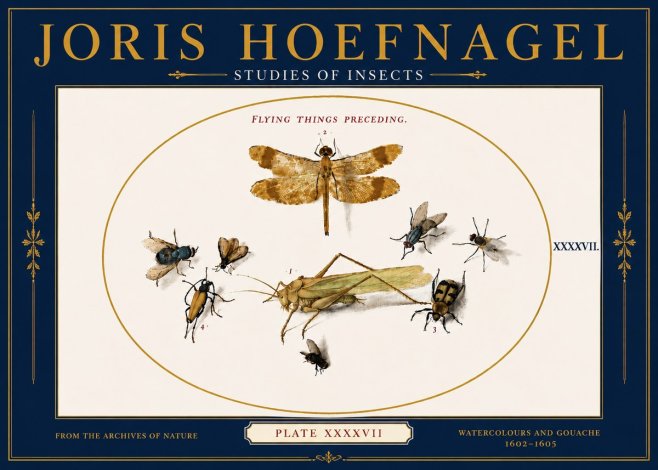 Joris Hoefnagel Flying Things Preceding. No6 - Juliste