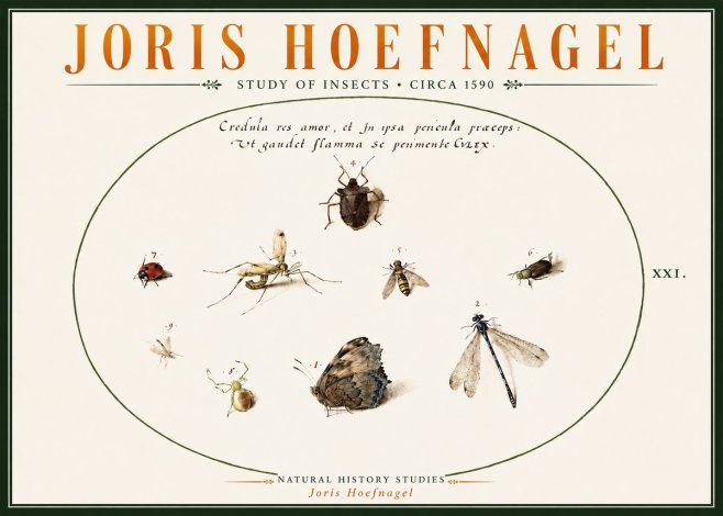 Joris Hoefnagel Study of Insects • Circa 1590 No6 - Juliste