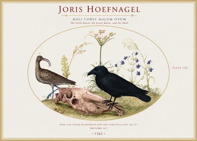 Joris Hoefnagel The Little Raven, the Great Raven, and the Skull No1 - Juliste