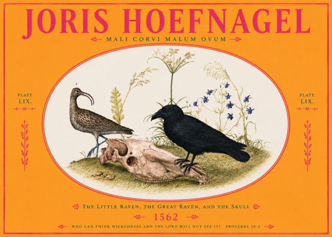 Joris Hoefnagel The Little Raven, the Great Raven, and the Skull No4 - Juliste