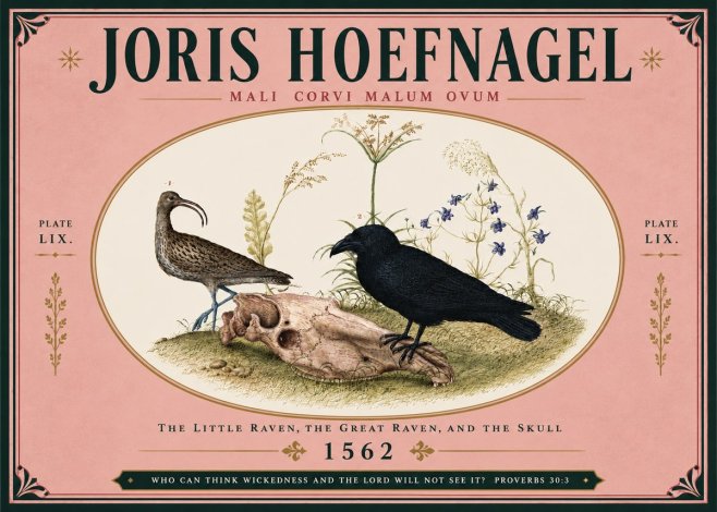 Joris Hoefnagel The Little Raven, the Great Raven, and the Skull No5 - Juliste