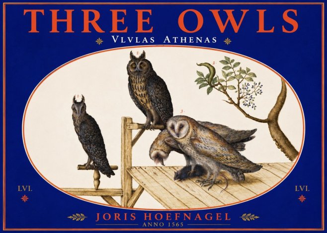 Joris Hoefnagel Vlvlas Athenas No5 - Juliste