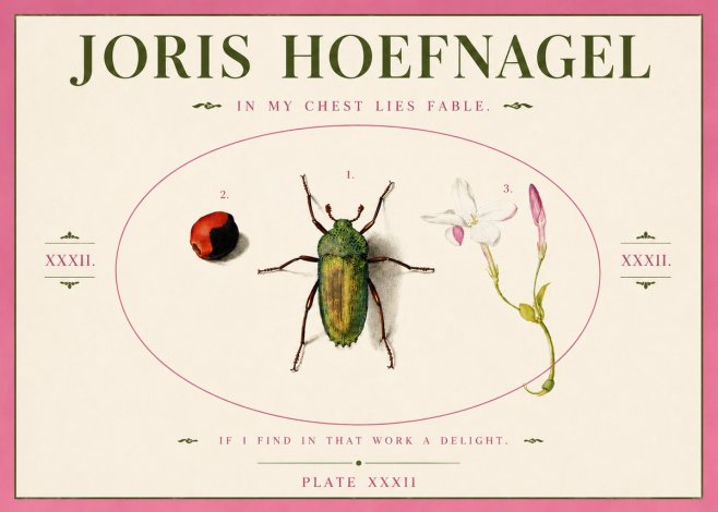 Joris Hoefnagel In My Chest Lies Fable No3 - Juliste