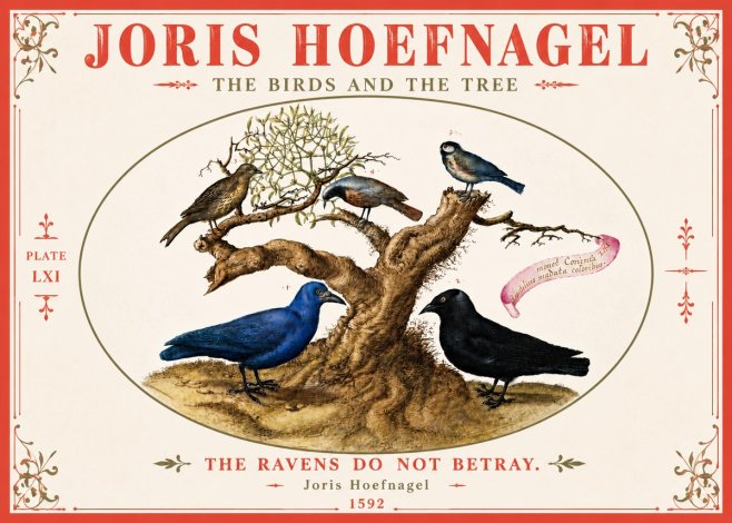 Joris Hoefnagel The Birds and the Tree No6 - Juliste