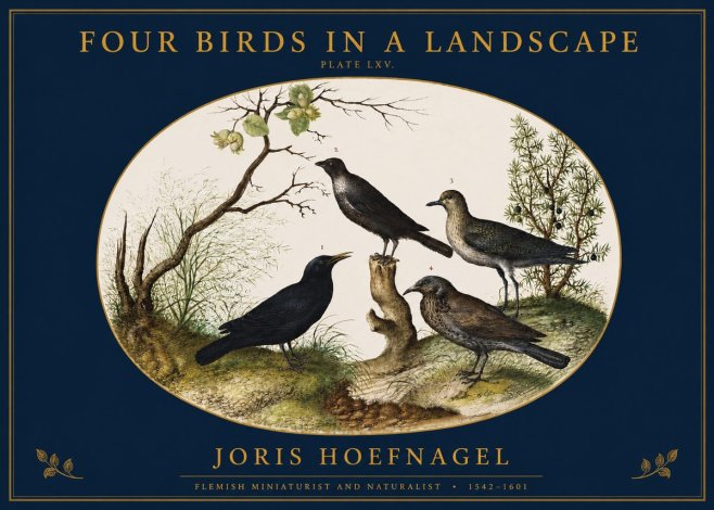 Joris Hoefnagel Four Birds in a Landscape No2 - Juliste