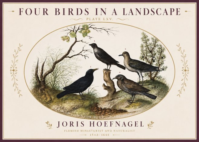 Joris Hoefnagel Four Birds in a Landscape No4 - Juliste