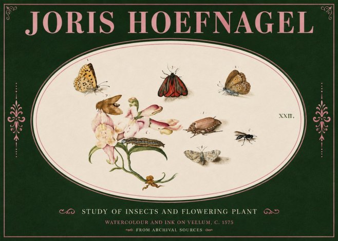 Joris Hoefnagel Study of Insects and Flowering Plant No4 - Juliste