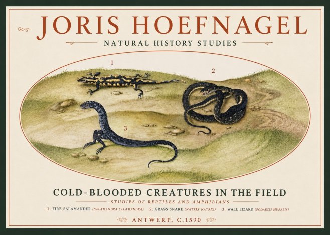 Joris Hoefnagel Cold-blooded Creatures in the Field No4 - Juliste