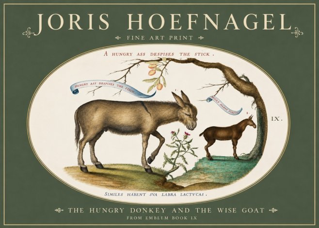 Joris Hoefnagel The Hungry Donkey and the Wise Goat No3 - Juliste