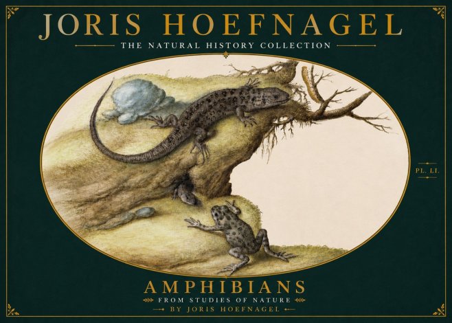 Joris Hoefnagel Amphibians from Studies of Nature No4 - Juliste