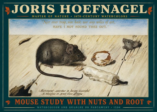 Joris Hoefnagel Mouse Study with Nuts and Root No2 - Juliste