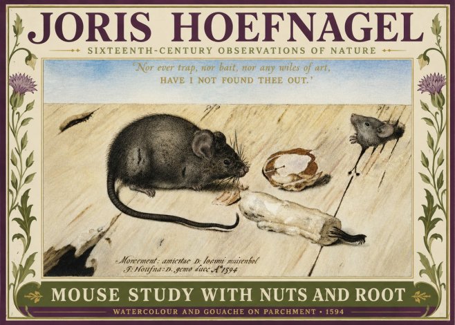 Joris Hoefnagel Mouse Study with Nuts and Root No3 - Juliste