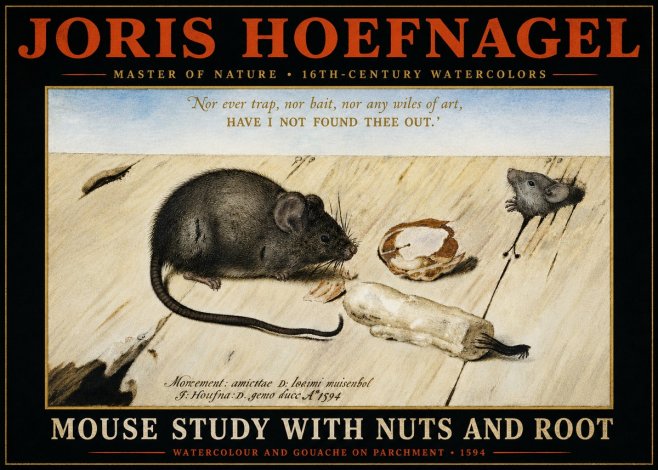 Joris Hoefnagel Mouse Study with Nuts and Root No4 - Juliste