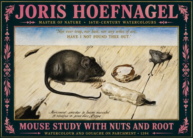 Joris Hoefnagel Mouse Study with Nuts and Root No5 - Juliste