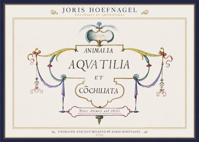 Joris Hoefnagel Animalia Aquatilia Et Cochiliata No1 - Juliste