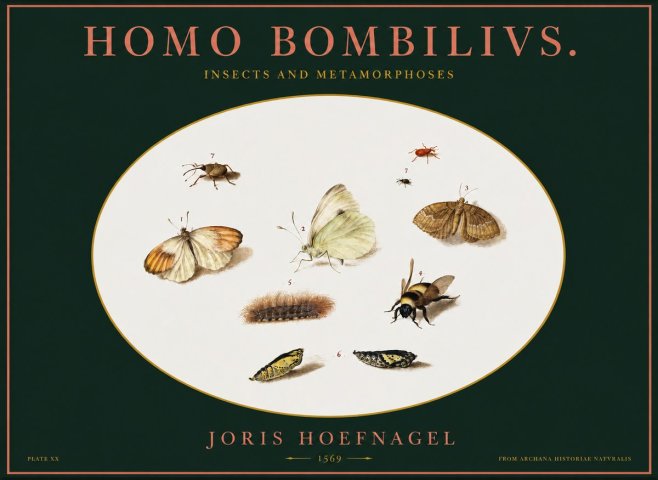 Joris Hoefnagel Homo Bombilivs. Insecta Et Metamorphoses No2 - Juliste