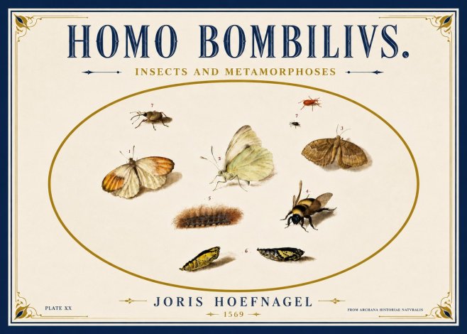 Joris Hoefnagel Homo Bombilivs. Insecta Et Metamorphoses No6 - Juliste