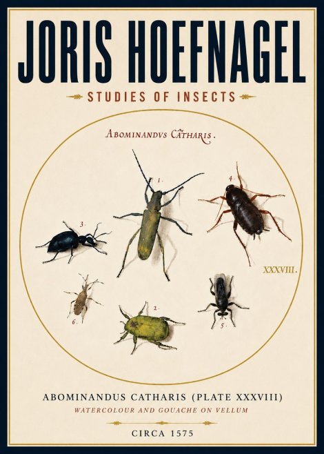 Joris Hoefnagel Abominandus Catharis (Plate Xxxviii) No4 - Juliste