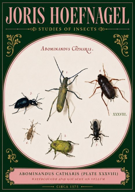 Joris Hoefnagel Abominandus Catharis (Plate Xxxviii) No5 - Juliste