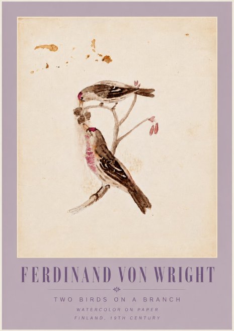 Ferdinand von Wright Two Birds on a Branch No6 - Juliste