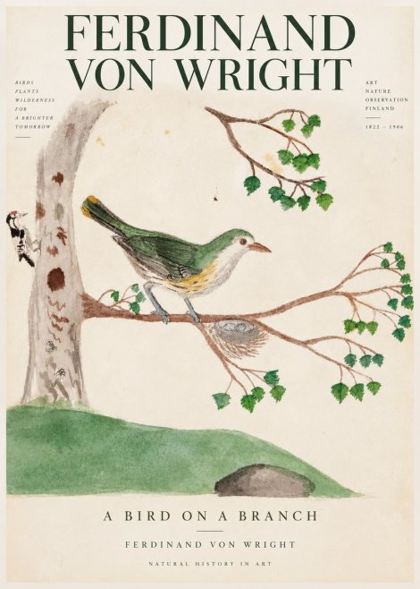 Ferdinand von Wright Green Warbler with Nest No4 - Juliste
